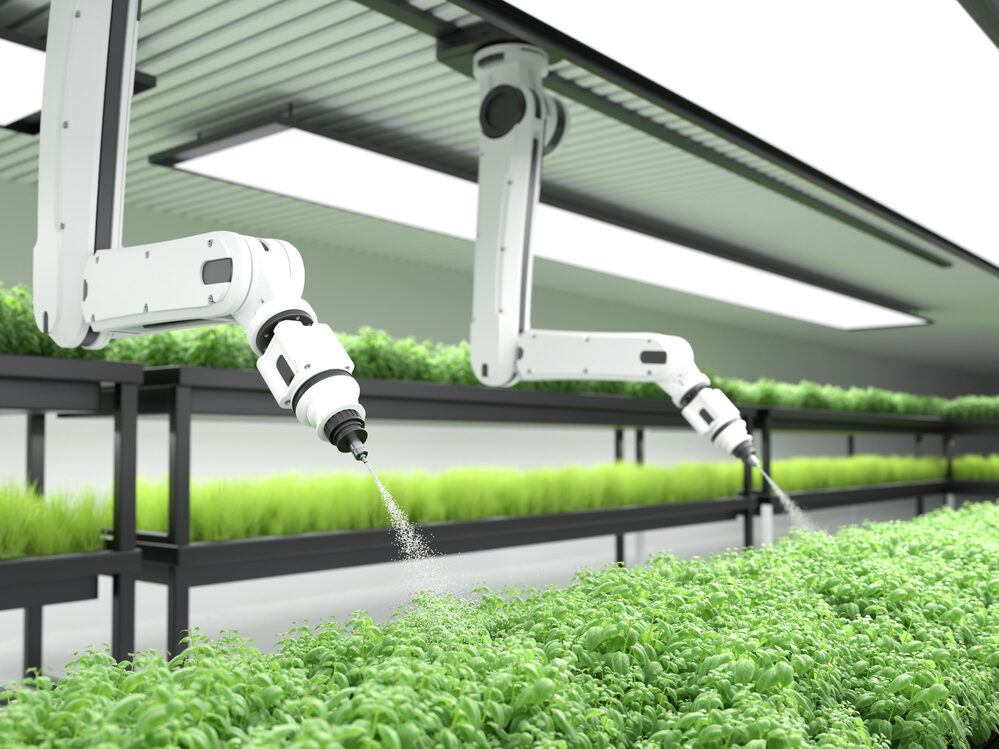 Smart robotic farmer spraying fertilizer on vegetable green plants, Agriculture technology, Farm automation